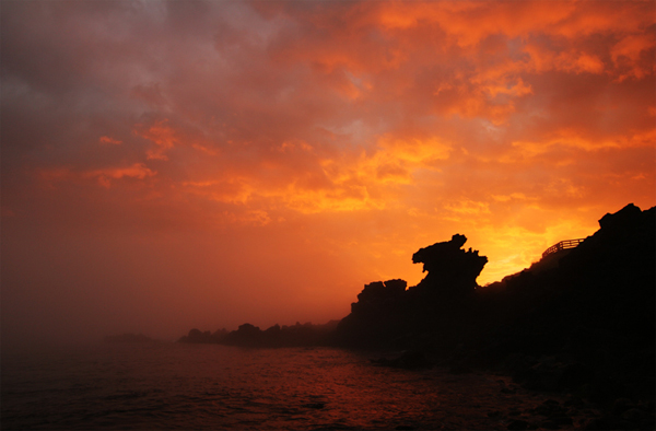 https://cdn.jejusori.net/news/photo/200607/20671_21296_227.jpg