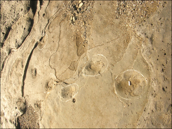 사계리와 상모리의 해안 경계 지점에서 사람발자국 화석이 발견되었다.