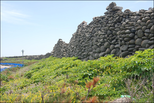 섬의 서북부 해안길에 늘어선 있는 돌담이다. 이 돌들은 제주도 본섬에 널려 있는 것들과 매우 다르다. 모양이 둥굴둥글하고 표면이 매끄러운 핵석이다.