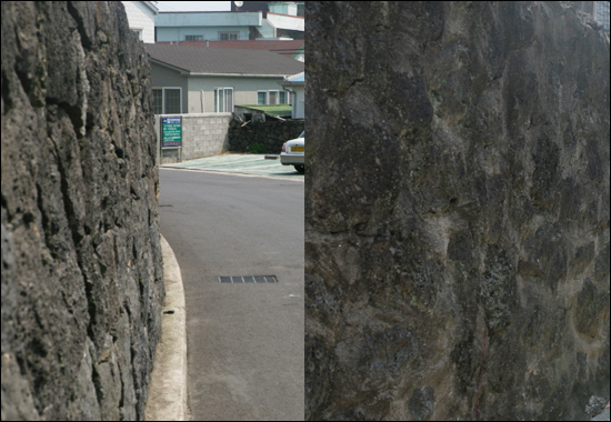 왼쪽, 오른쪽 돌담 구분 가시나요? 왼쪽이 이제 막 쌓아올린 새돌담이고 오른쪽이 오래된 돌담입니다. 꽤 오랜 시간을 머금었을 거예요. 저 돌담 골목에 얼마나 많은 추억들이 쌓였을까요. ⓒ제주의소리 김태연기자
