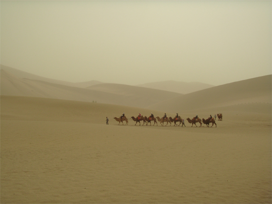 명사산 사막의 낙타체험관광. ⓒ제주의소리