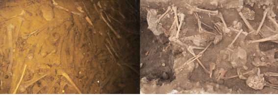 왼쪽 사진은 중국 난징의 만인갱의 얽혀 있는 뼈무덤이다. 오른쪽은 2007년 제주시 정뜨르비행장 발굴 당시 유골의 모습이다. 이 죽음의 모습들뿐만 아니라, 이 주검을 만들어낸 폭력의 모습도 흡사했다. 이 작은 섬 제주를 휩쓸었던 4·3 역시 대한민국의 아이히만들이 만들어낸 모습들이다.