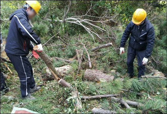 154187_174257_1838.jpg 154187_174257_1838.jpg