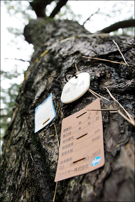 156660_176769_1302.jpg 156660_176769_1302.jpg