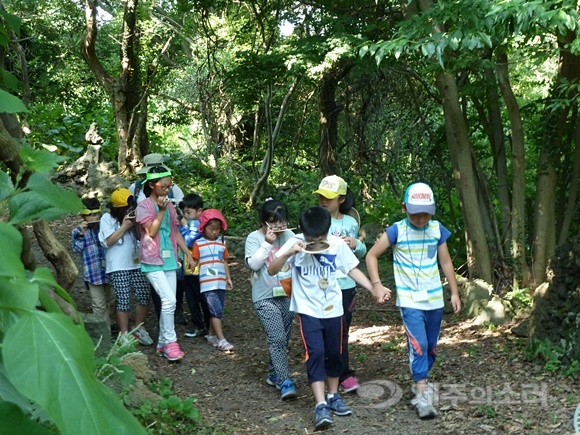 화순리 놀이숲 곶자왈에 참가한 어린이들.jpg