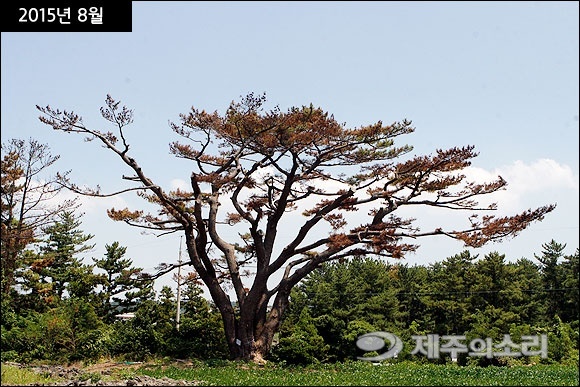 165504_187848_1605.jpg 165504_187848_1605.jpg