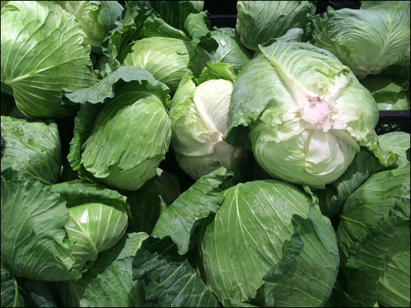 cabbage-1663179_1920.jpg