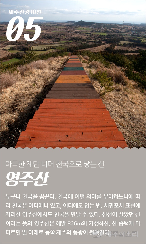 제주10선 19년 2월_카드뉴스10.png