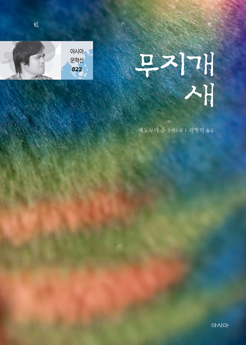 메도루마 슌, 《무지개 새》, 곽형덕 옮김, 아시아, 2019. 출처=알라딘.