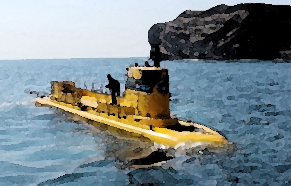 폭발 사고가 발생한 서귀포시 모 잠수함 운영사 홈페이지 갈무리.