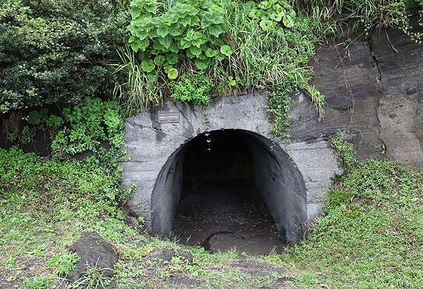 일제강점기 당시 설치된 것으로 추정되는 성산일출봉 인근 일본군 진지동굴. ⓒ제주의소리