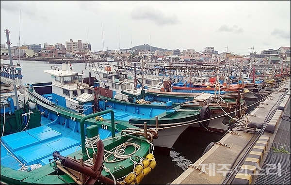 제13호 태풍 링링이 북상하면서 서귀포시 대정읍 포구에 어선들이 정박해 있다.