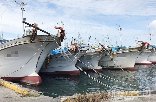제17호 태풍 타파가 제주를 향해 북상하면서 20일 오후 제주시 한림항에 어선들이 조업을 중단하고 정박해 있다.