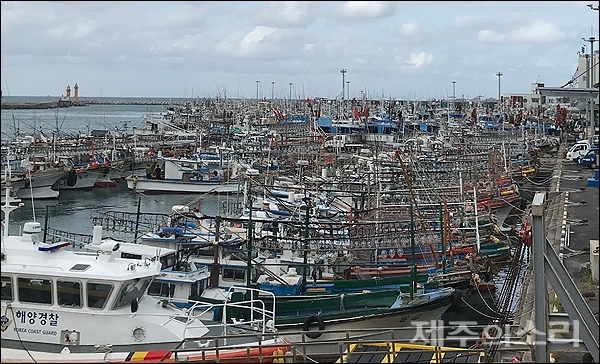 제17호 태풍 타파가 제주를 향해 북상하면서 20일 오후 서귀포시 성산항에 어선들이 조업을 중단하고 정박해 있다.