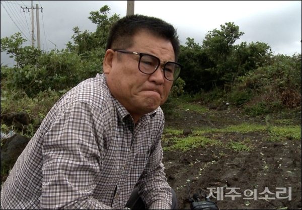 강동만 씨가 태풍 타파에 피해를 입은 자신의 밭에서 할말을 잊은채로 한참을 멍하니 바라보고 있다.