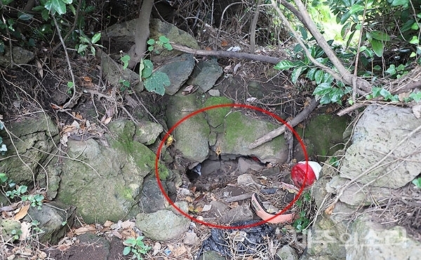 제주 제2공항 예정지인 서귀포시 성산읍 온평리에서 숨골·동굴입구가 다수 발견됐다. ⓒ제주의소리 자료사진