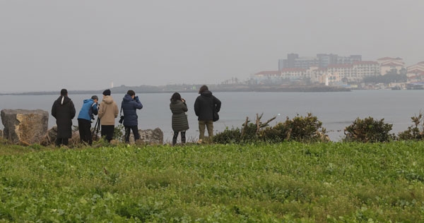 19일 오후 서귀포시 성산읍 제2공항 예정지 인근 연안에서 조류를 조사하고 있는 성산환경을지키는사람들. ⓒ제주의소리