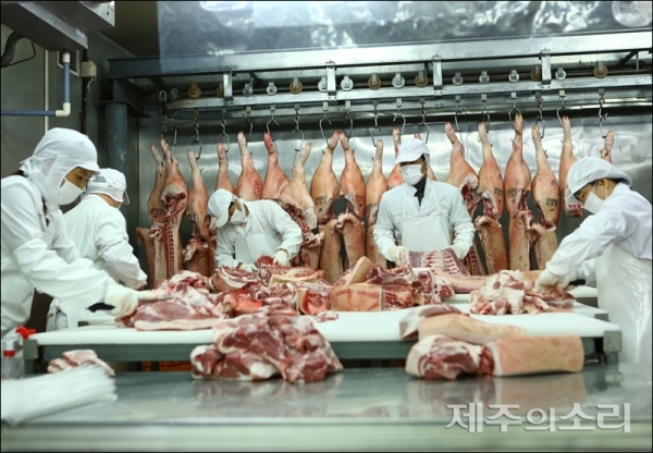 탐라인의 돼지 가공 과정. 철저한 위생과 함께 먹기 좋은 크기로 가공하면서 중국 펑다그룹의 관심을 이끌었다.