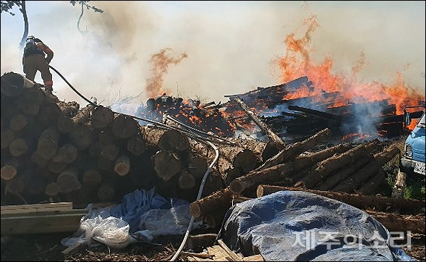 25일 오후 3시쯤 제주시 한림읍 상대리의 한 제재소에서 불이 나 목재 약 300톤이 잿더미로 변했다. [사진제공-제주서부소방서]