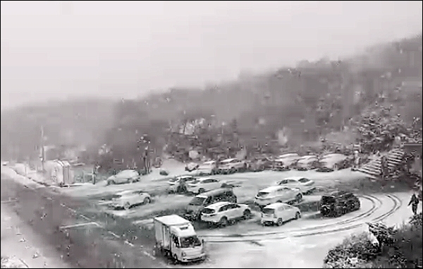 12일 오후 3시30분 제주산지에 대설주의보가 발효되면서 한라산 1100도로에 많은 눈이 내려 쌓이고 있다. [사진출처-한라산국립공원]