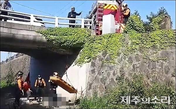 28일 오후 3시45분쯤 제주시 삼양동의 한 다리 밑에서 김모(52)씨가 쓰러져 있는 것을 경찰이 발견해 119구급대가 구조 작업을 벌이고 있다. [사진제공-제주소방서]