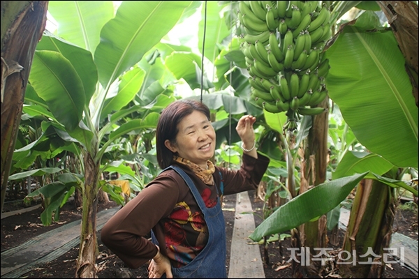 김순일 농업회사법인 유진팡 대표. 친환경 농산물을 재배하겠다는 일념으로 제주를 알리는 6차산업인이다. ⓒ제주의소리
