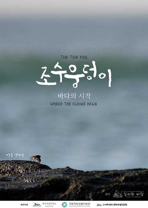 제3회 밤바다 영화제 개막작으로 선정된 ‘조수웅덩이’<br>