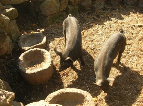 옛 돼지우리를 재현한 모습. ⓒ제주의소리 자료사진