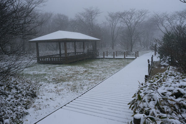 29일 첫 눈이 내린 제주 한라산. 사진-한라산국립공원관리소 제공
