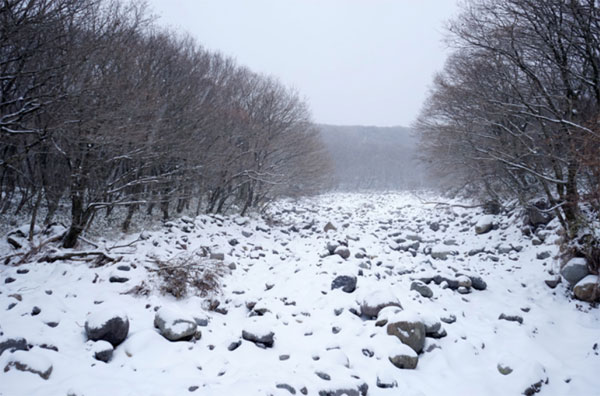 지난 14일 하얀 눈이 내려앉은 제주 한라산. 사진 출처=한라산국립공원관리사무소