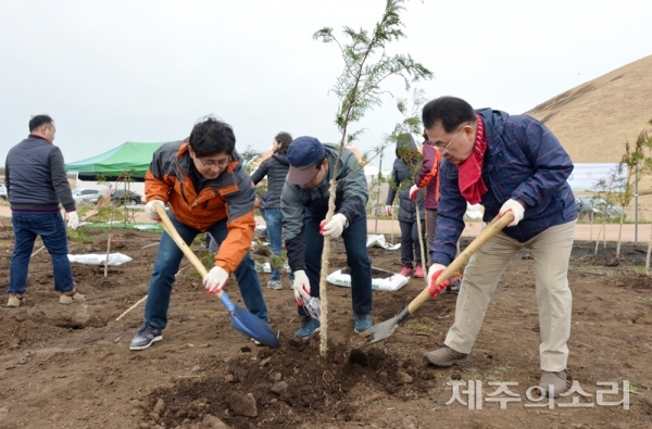 2019년 3월 새별오름에 편백나무를 심고 있는 제주도의회. ⓒ제주의소리 자료사진