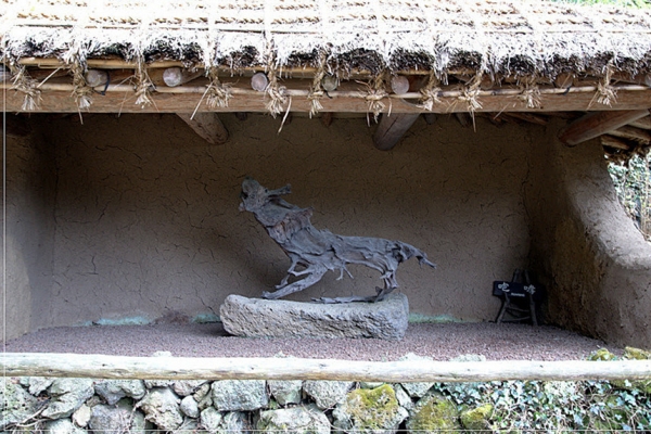옛 탐라목석원에 전시되었던 조록형상목