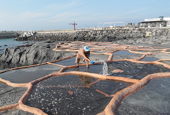 지난 2012년 복원된 구엄 돌염전에서 지난해 한 주민이 바닷물을 염전에 뿌리고 있다. ⓒ제주의소리 자료사진