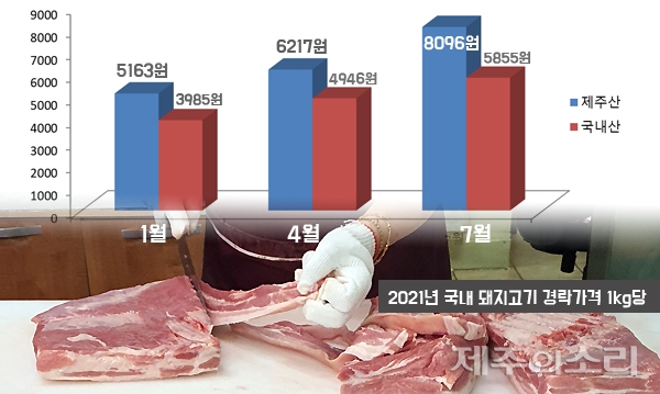 올해초부터 이어져온 제주산 돼지고기 가격상승세가 예사롭지 않다. 19일 제주산 돼지고기 평균 경락가격은 흑돼지 기준 1kg당 1만원을 넘어서기도 했다.&nbsp; / 이미지 그래픽=김정호 기자 ⓒ제주의소리&nbsp;