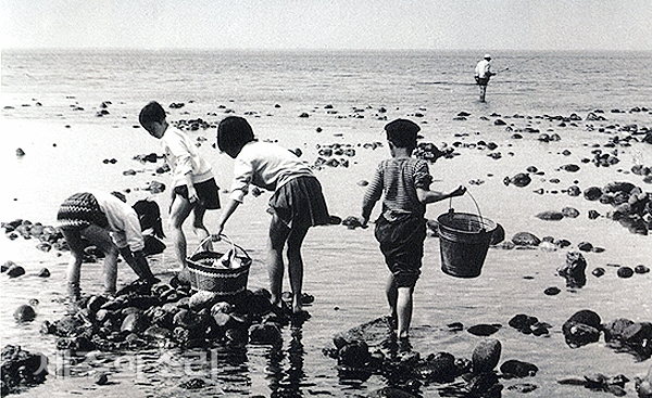 1970년대 초 탑동 바닷가 풍경. 탑동 해안가에서 어린아이들이 양동이를 들고 바릇잡이하는 모습이다. 그 주변으로 탑동 먹돌이 보인다. [사진출처-사진으로 보는 제주역사]