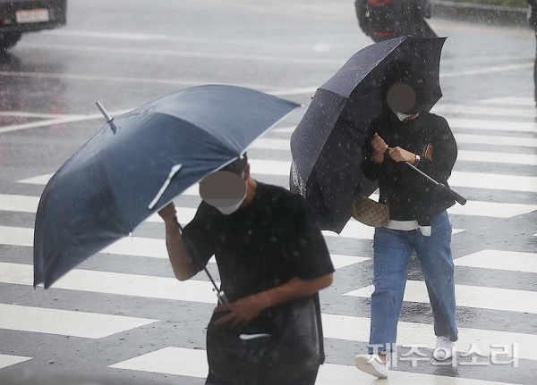 16일 제14호 태풍 찬투의 영향으로 거센 바람이 불면서 행인이 우산을 부여잡고 비를 막고 있다. ⓒ제주의소리