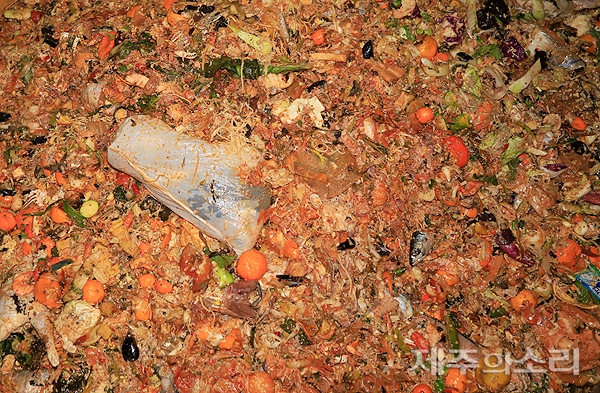 음식물 쓰레기에 제대로 분리수거 하지 않은 비닐가 플라스틱 등이 뒤섞여 눈살을 찌푸리게 하고 있다.  ⓒ제주의소리 [김정호 기자]