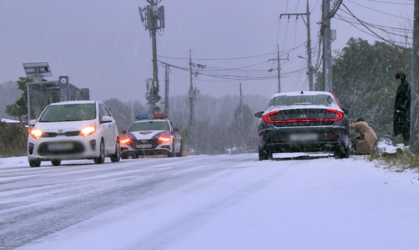 11일 오후 제주 곳곳에 눈이 내리면서 차량들이 거북이 걸음을 하고 있다. 제주시 아라동 산천단 인근 도로 모습 ⓒ제주의소리
