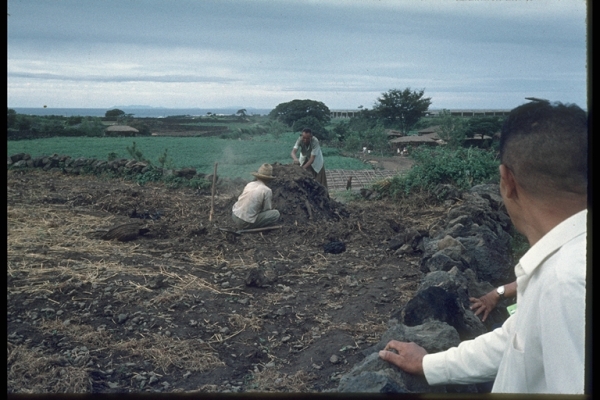 1971년 8월부터 10월 사이 제주도 오라1동에서 촬영한 사진. 밭모퉁이에서 숯을 굽기 위해 흙과 건초들을 쌓아올리고 있다. 사진=이토 아비토, 제주학아카이브.