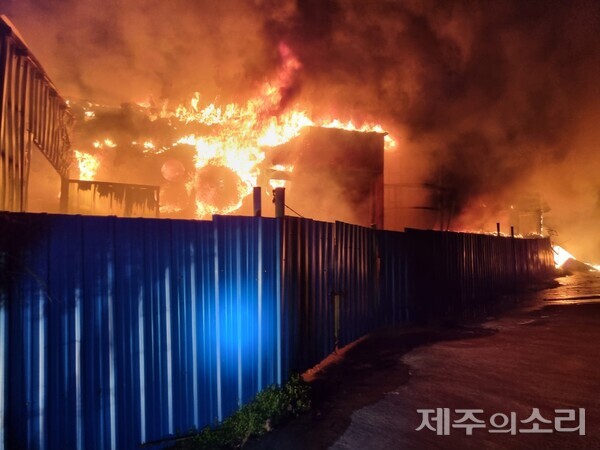 15일 새벽 제주시 한림읍 명월리의 한 양돈장에서 화재가 발생했다. 사진=독자 제공. ⓒ제주의소리