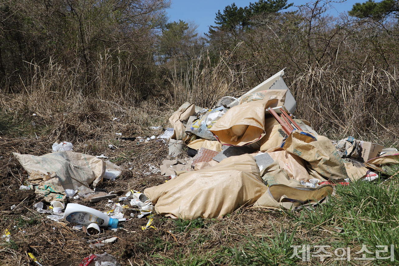 고성리목장 한편에 쌓인 쓰레기들. 목장이 방치되다 보니 건축용 폐자재를 비롯한 생활쓰레기들이 불법 투기되고 있었다. ⓒ제주의소리