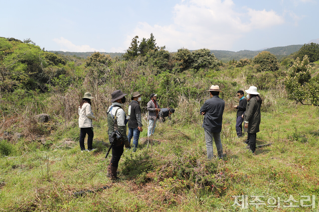 현재 하효마을공동목장은 초지 역시 방치된 상황이다. 그러나 마을회가 꾸준히 활용 방안을 찾고 있다. ⓒ제주의소리