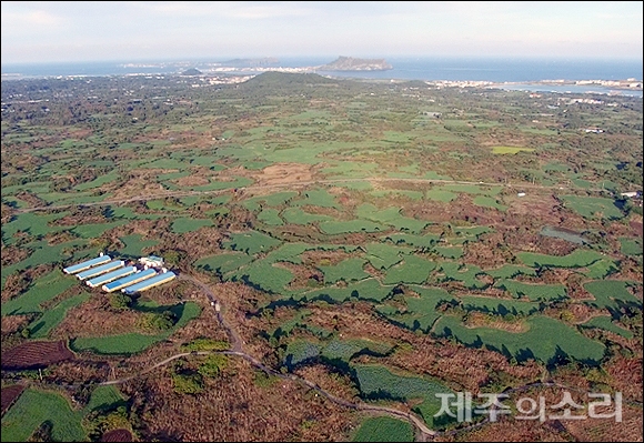 제주 제2공항 예정지인 서귀포시 성산읍 일대. ⓒ제주의소리 자료사진.
