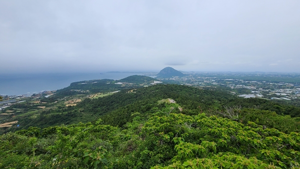 대평리-월라봉-몰등어리왓-산방산.
