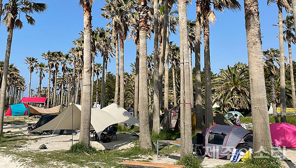 제주시내 또 다른 해수욕장에 설치된 텐트. 해당 해수욕장은 청년회의 한시적 야영장 운영 기간이 끝나 현재는 사용료 없이 캠핑을 즐길 수있다. 반면 알박기와 쓰레기 투기 등의 민원은 여전하다.