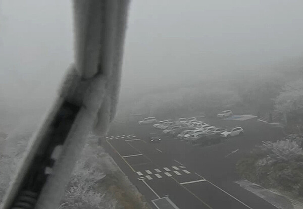 30일 오전 눈이 쌓인 제주 1100도로 모습. 나우제주TV CCTV 갈무리.