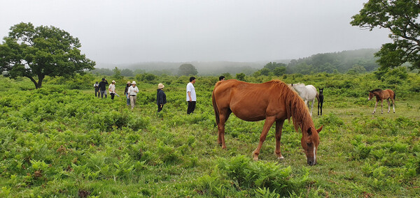 마을공동목장 도민참여 탐방 행사인 ‘탐나는가치 맵핑(mapping)’ 프로그램에서 방문한 아라마을공동목장 전경 ⓒ제주의소리 자료사진