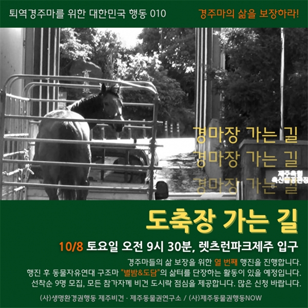 12월 말이면 제주 경마장에서 한라마 경주가 사라진다. 2023년부터는 제주마를 이용한 경주만 진행하여 경주에서 퇴역하는 한라마의 대책이 필요하다. 지난해 11월부터 시작한 퇴역 경주마를 위한 ‘도축장 가는 길’을 11월에 마무리했다. 새해에는 경주마 삶 보장을 위해 시민과 함께하는 새로운 프로젝트를 진행한다. / 출처 =생명환경권행동 제주비건 &nbsp;<br>