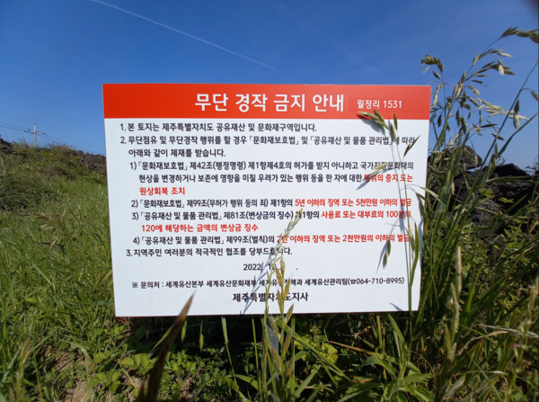 동부하수처리장 인근 밭의 무단 경작 금지 안내 표지판