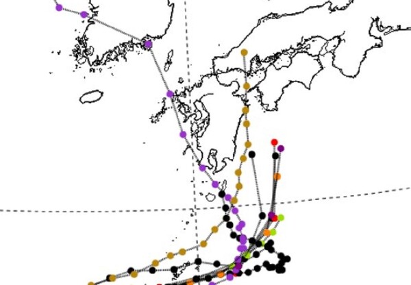 각 국의 제6호 태풍 카눈 수치 예보 모델. 검정색이 한국기상청, 보라색이 미국기상청 지구예보시스템 모델이다.&nbsp;